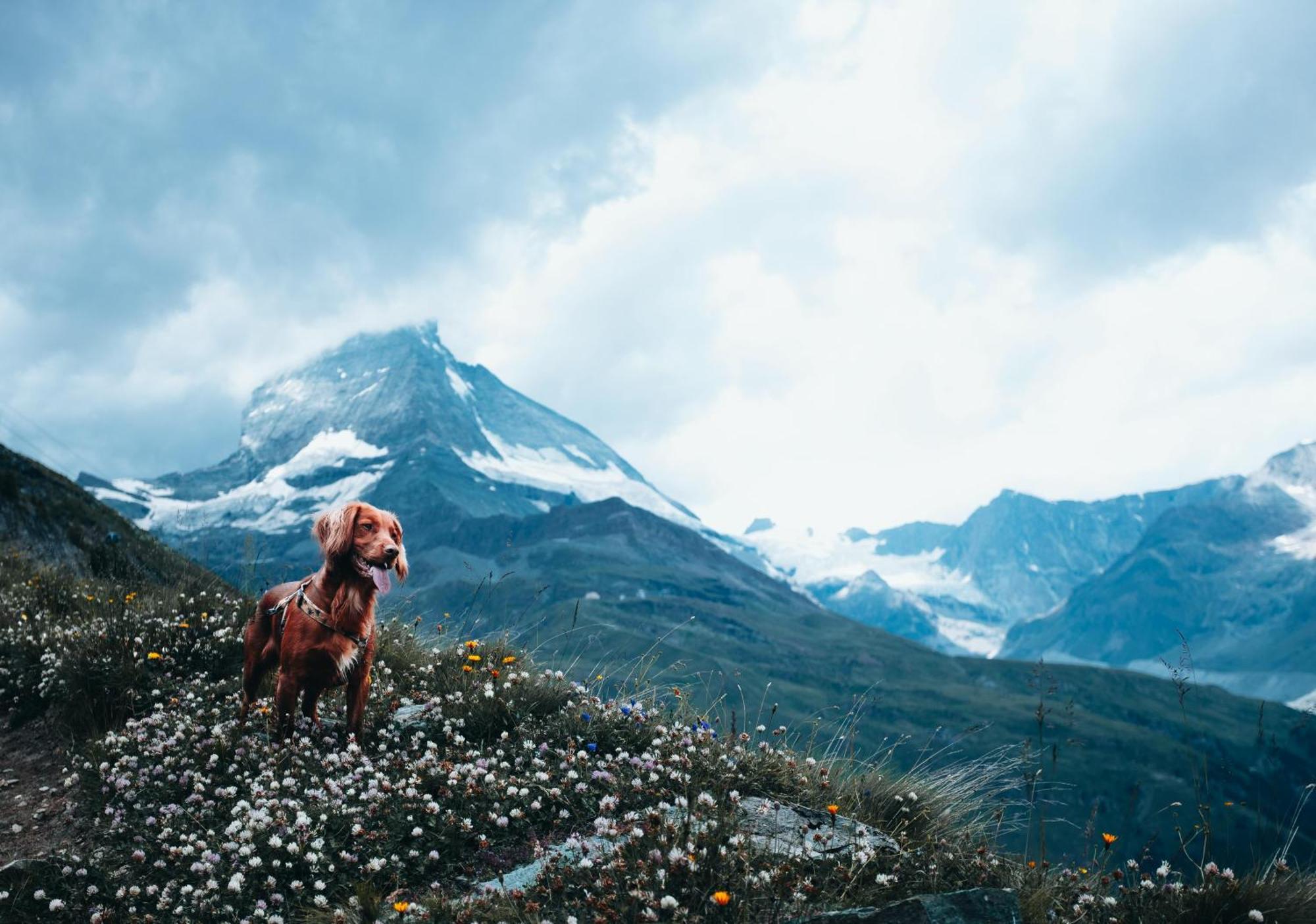 Hapimag Ferienwohnungen Zell Am See Ngoại thất bức ảnh